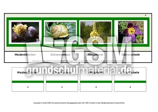 Setzleiste-zusammengesetzte-Frühlingswörter 4.pdf